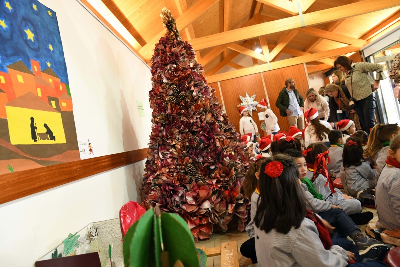 Natal Ecológico é um “Natal sem Plástico”