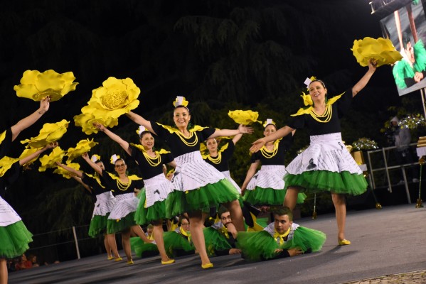 COVID-19: Câmara cancela Festas Antoninas