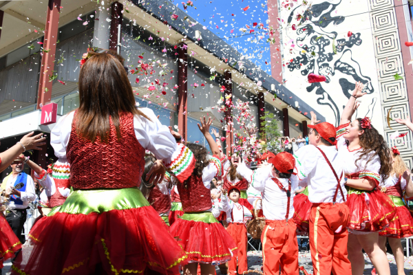 Famalicão is decking itself out for the Flower Festival