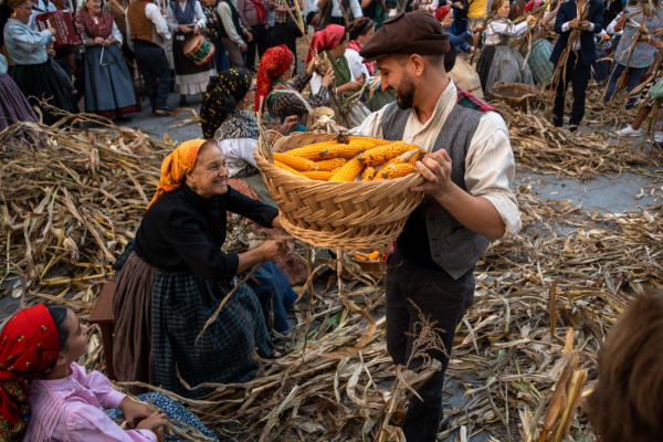Feira Grande de S. Miguel: a centuries-old tradition that stands the test of time
