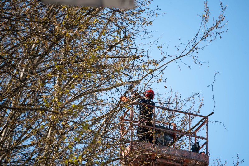 Aviso | Limpeza de vegetação