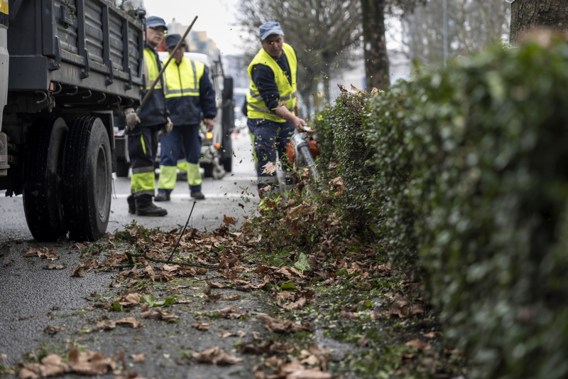 Famalicão reforça segurança rodoviária e imagem urbana com limpeza de vegetação em várias avenidas 