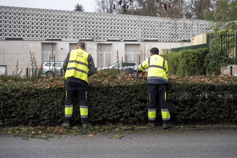 Famalicão reforça segurança rodoviária e imagem urbana com limpeza de vegetação em várias avenidas 