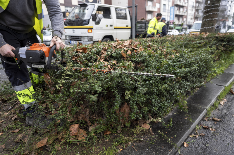 Famalicão reforça segurança rodoviária e imagem urbana com limpeza de vegetação em várias avenidas 