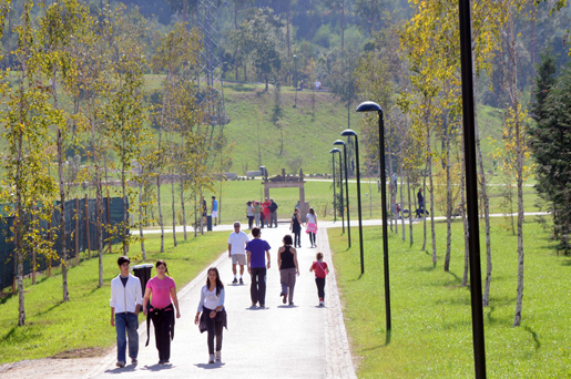 Olimpíadas da Floresta adiadas