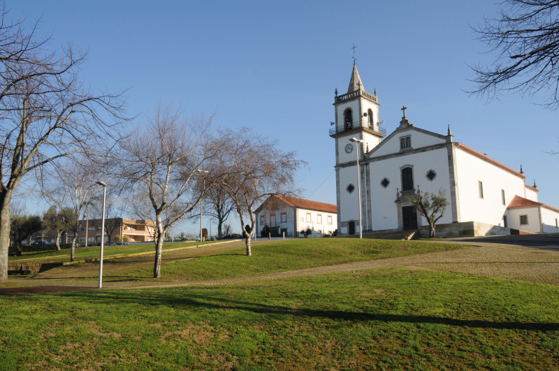 Caminhada solidária e magusto em Gondifelos