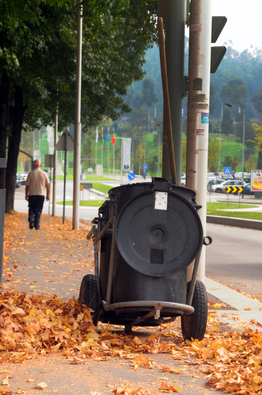 Caloiros da Lusíada limparam ruas da cidade