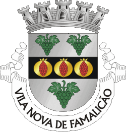 brasao_vnf
