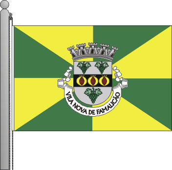 bandeira_vnf_rt