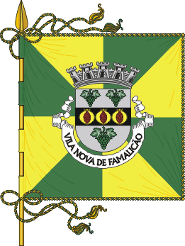 bandeira_vnf_qd